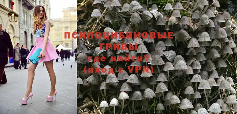 кракен ССЫЛКА  наркотики  Апатиты  Галлюциногенные грибы MAGIC MUSHROOMS 